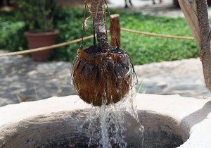 Leatherbucket at well