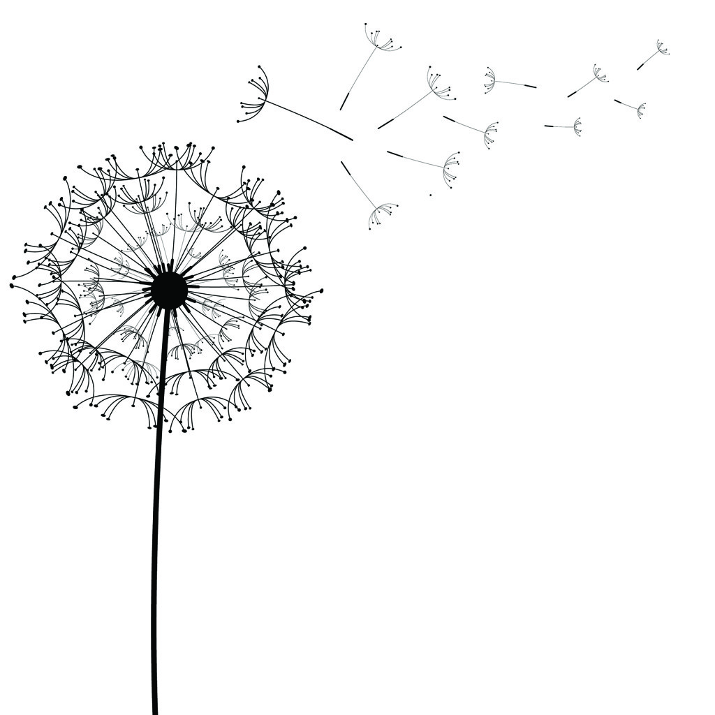 Dandelion flower desing design