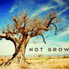 5 Questions to Ask if Your Church Isn’t Growing
