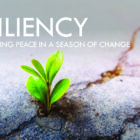 Resiliency: Rediscovering Peace in a Season of Change
