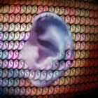 He who has ears to hear…