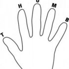 Korner THUMBhand BW