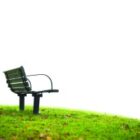 Empty park bench