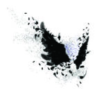 Abstract image of black wings against light background